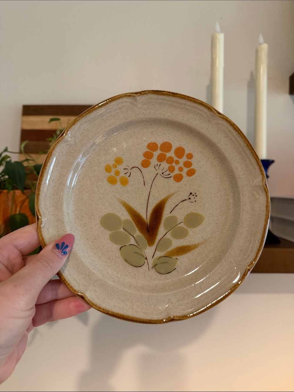 🍂 Vintage Hearthside Somerset Stoneware Dinner & Salad Plates Set 6 Made Japan